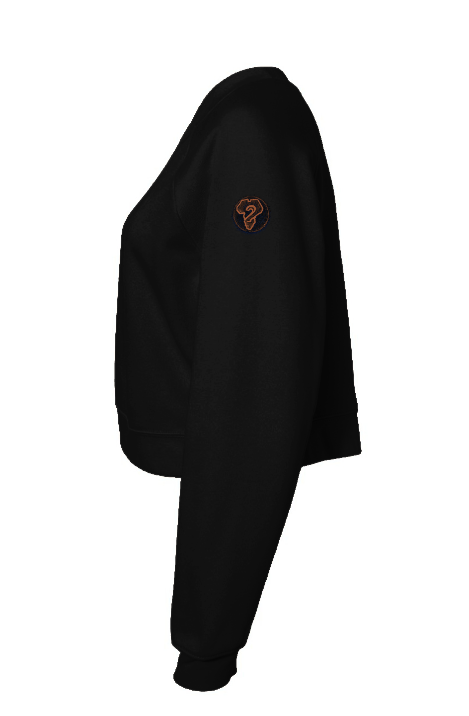 wizdomisms_OG_(black)Womens Raglan Pullover Fleece