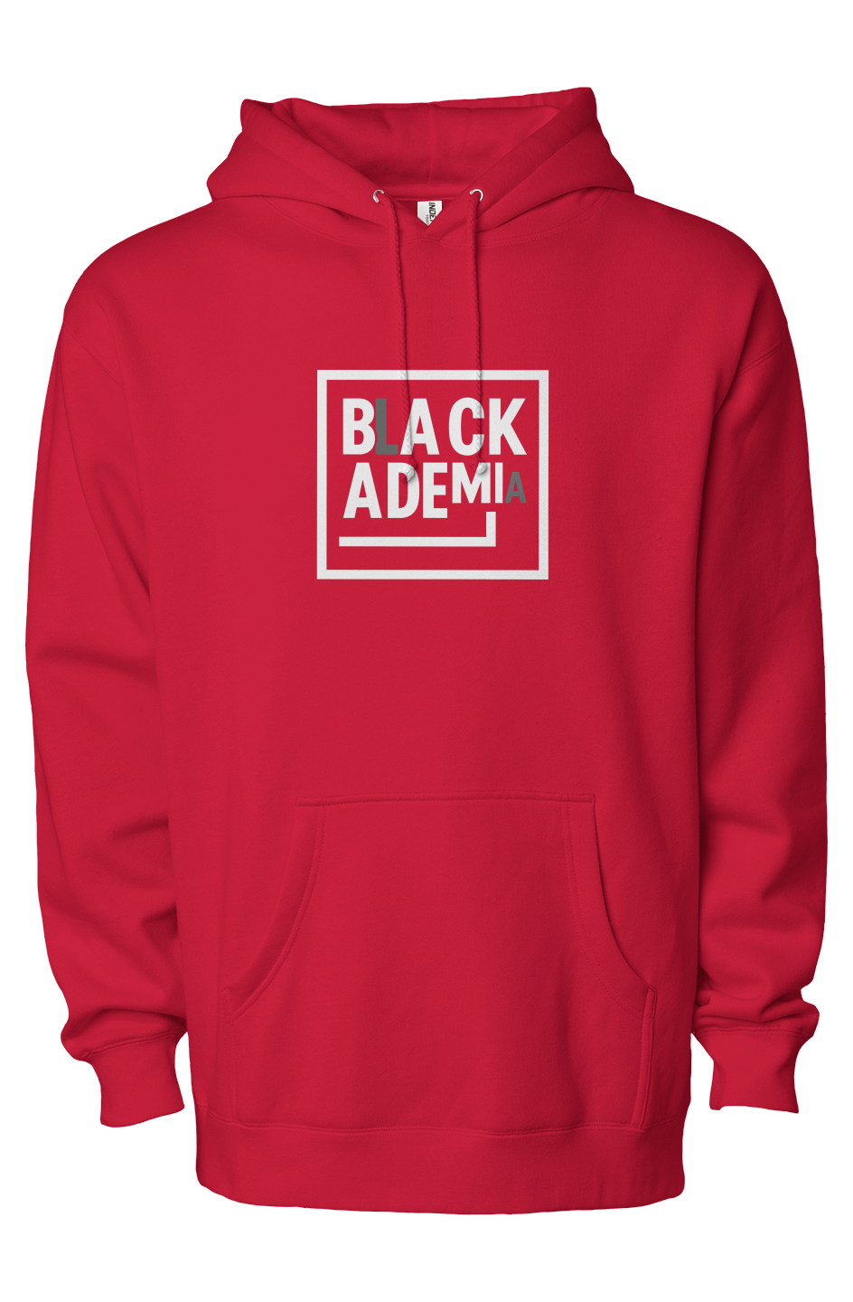 Blackademia-Embroidered independent heavyweight hoodie