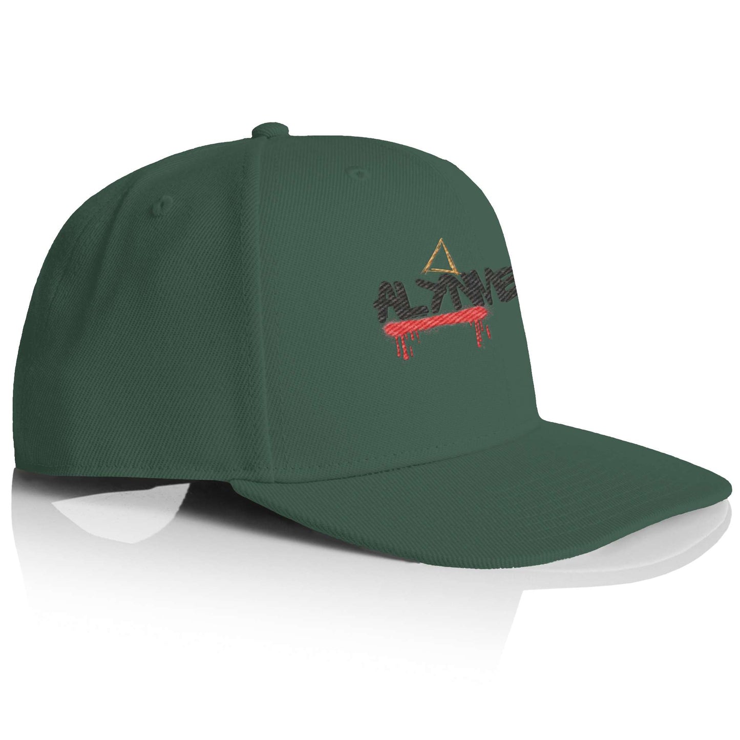 Alynment Logo premium snapback